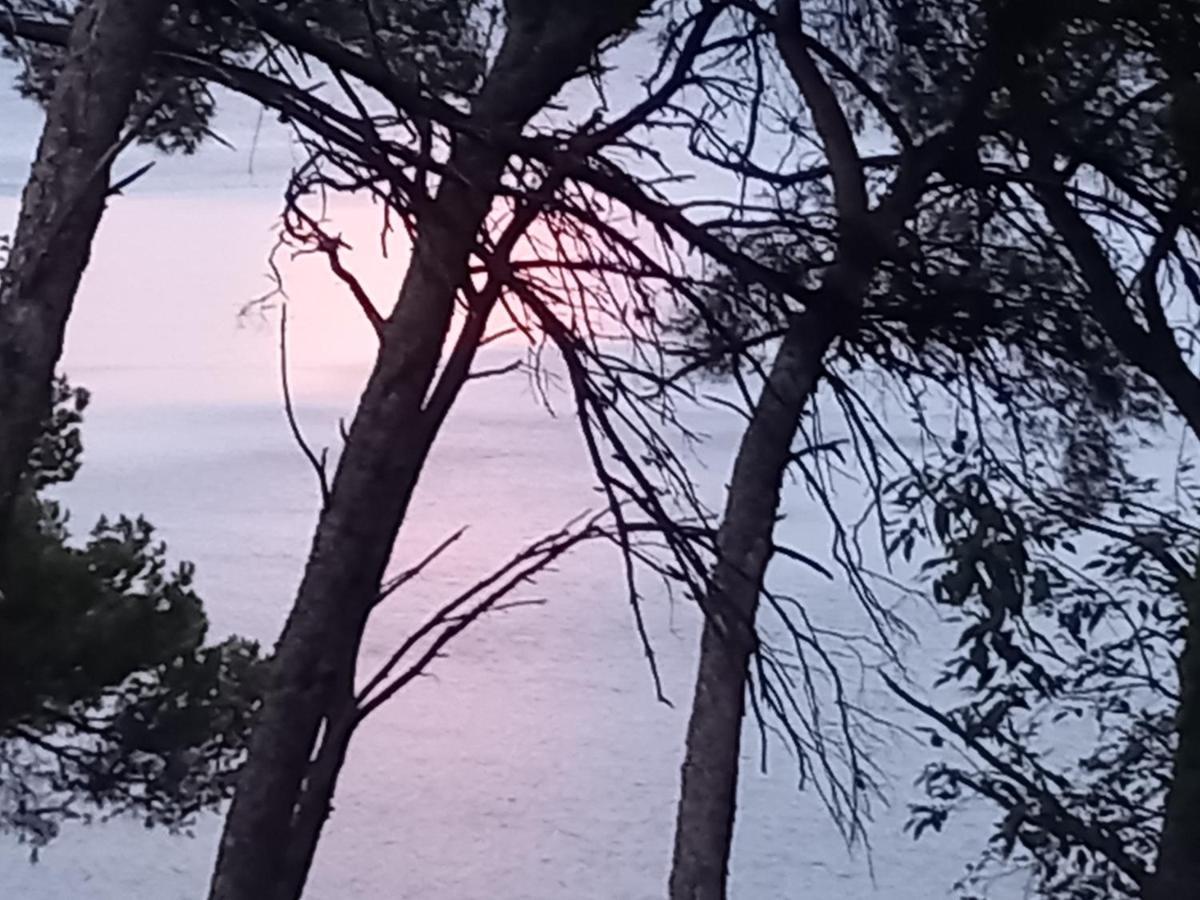 Chambre D Hote Les Heures Claires Istres Dış mekan fotoğraf